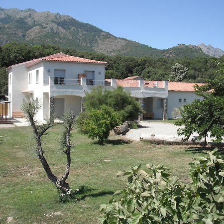 Bed and Breakfast L'Attrachju Corte  Zewnętrze zdjęcie