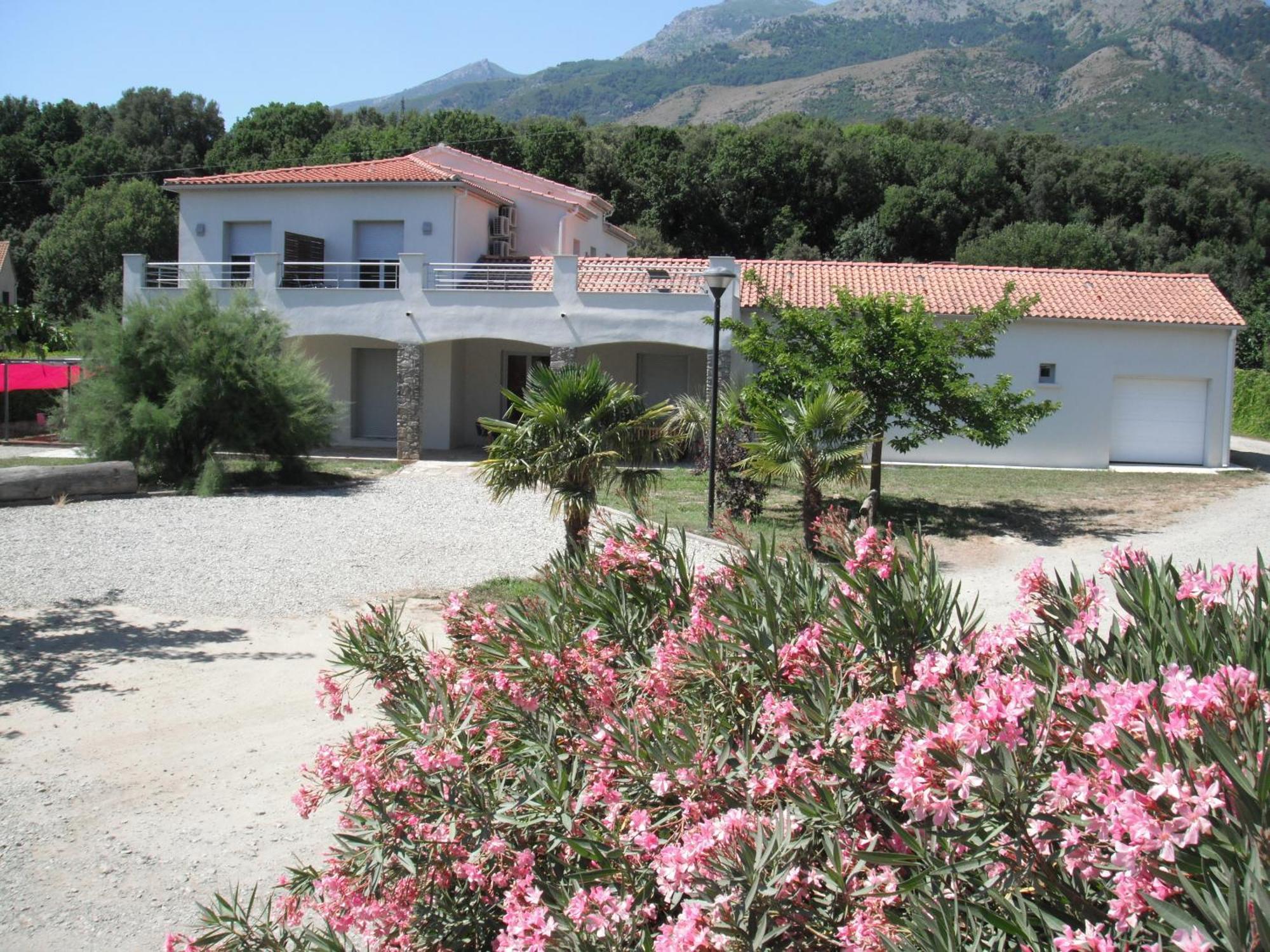Bed and Breakfast L'Attrachju Corte  Zewnętrze zdjęcie